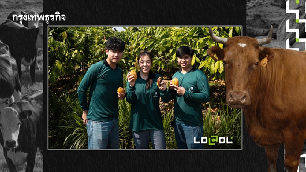 LOCOL สูตรลับผสมโกโก้ สร้างผลลัพธ์ เนื้อวัว Low Carbon