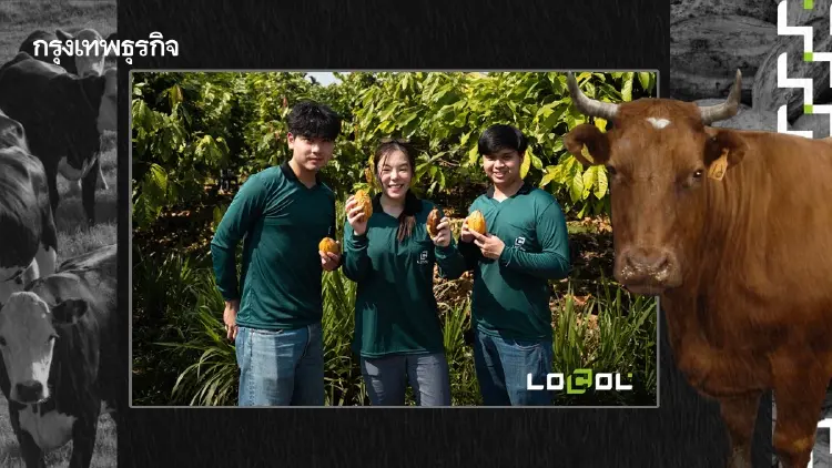 LOCOL สูตรลับผสมโกโก้ สร้างผลลัพธ์ เนื้อวัว Low Carbon