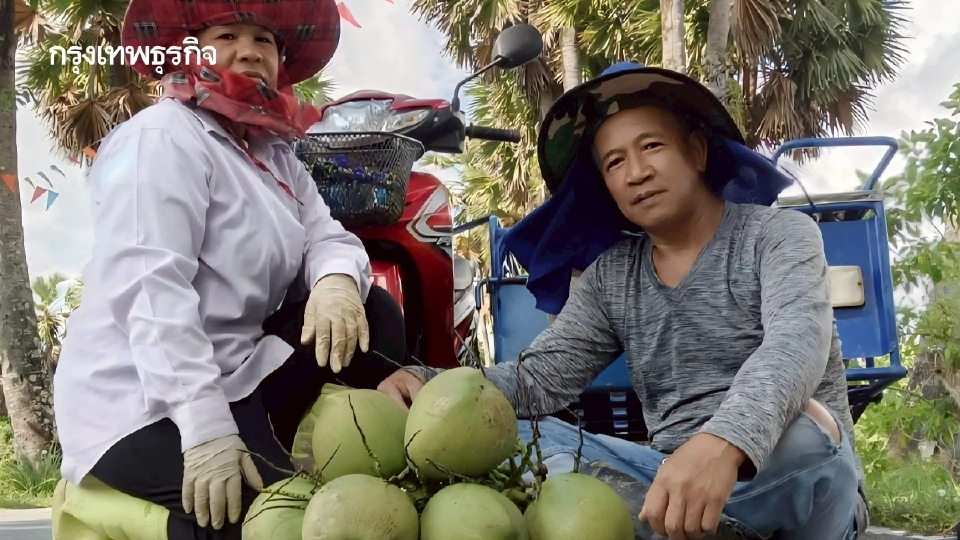 มะพร้าวน้ำหอมไทย วิกฤติ ราคาตกต่ำ หลังเวียดนามแย่งตลาดจีน  สูญเงินกว่า500 ล้านบาท