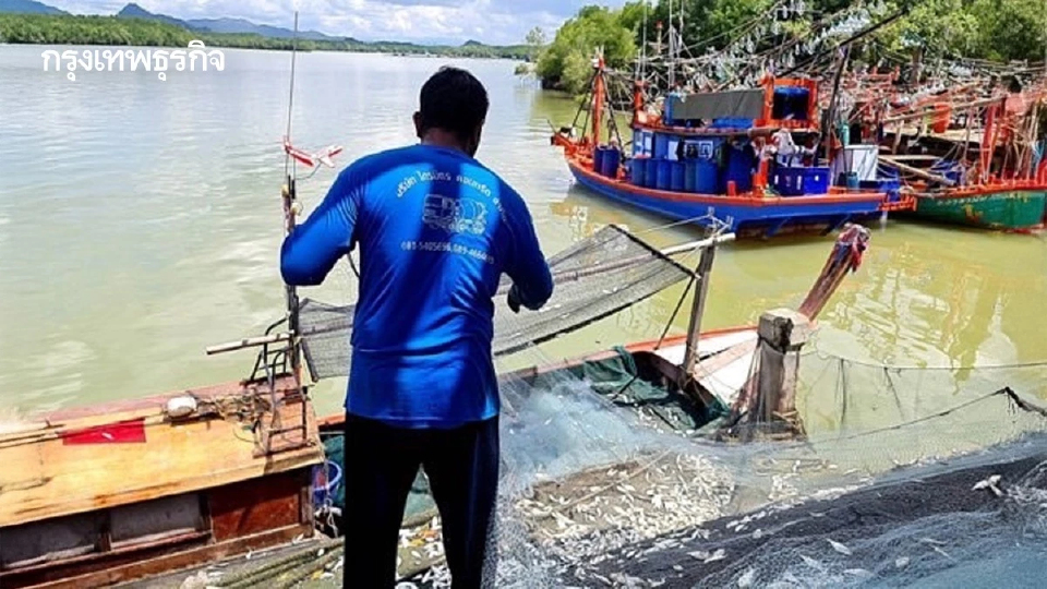 เตรียมบังคับใช้ พ.ร.บ. ประมงใหม่ เพิ่มสิทธิประมงพื้นบ้านรับมาตรฐานสากล