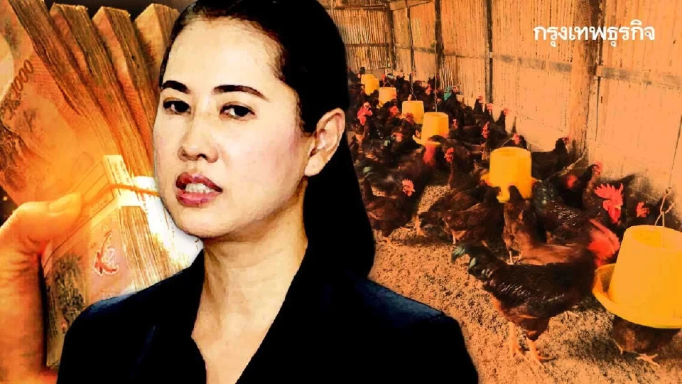 คุก 4 ปี 1 เดือน 'ปารีณา' คดีครอบครองที่ป่า - ยื่น 1 ล้านได้ประกันตัว