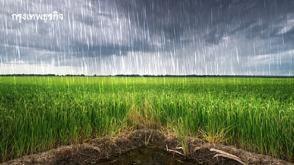 ‘พายุเฟิงเฉิน’ ล่าสุด อีก 2 วันขึ้นฝั่ง ลมมรสุมแรงขึ้น 'อีสาน' กระทบหนัก