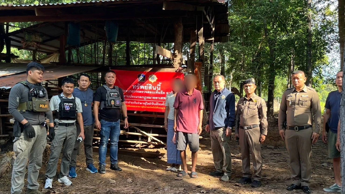 ยึดทรัพย์ 10 ล้าน ใช้ควายซื้อขาย ฟอกเงินค้ายาเสพติด