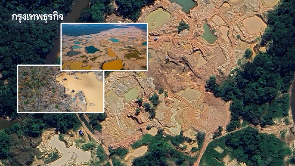 ‘ป่าแอมะซอน’ ถูดตัดทำ ‘เหมืองทองผิดกฎหมาย’ เสียหาย 875,000 ไร่ 