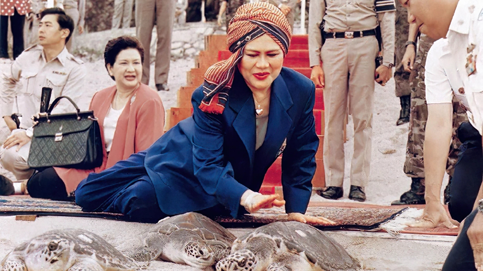 สมเด็จพระพันปีหลวง ทรงห่วงใย ‘เต่าทะเล’ ยก ‘เกาะมันใน’ ให้เป็นศูนย์อนุรักษ์