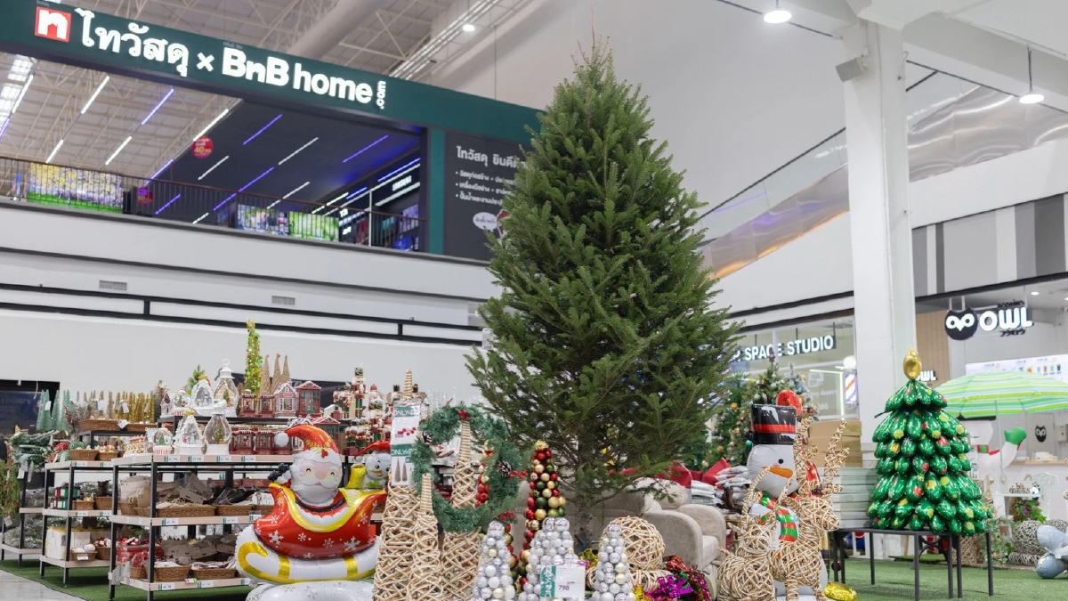ไทวัสดุ และ บีเอ็นบี โฮม เปิดพรีออร์เดอร์ ‘ต้นสนสดจากแคนาดา’ รับเทศกาลคริสต์มาส