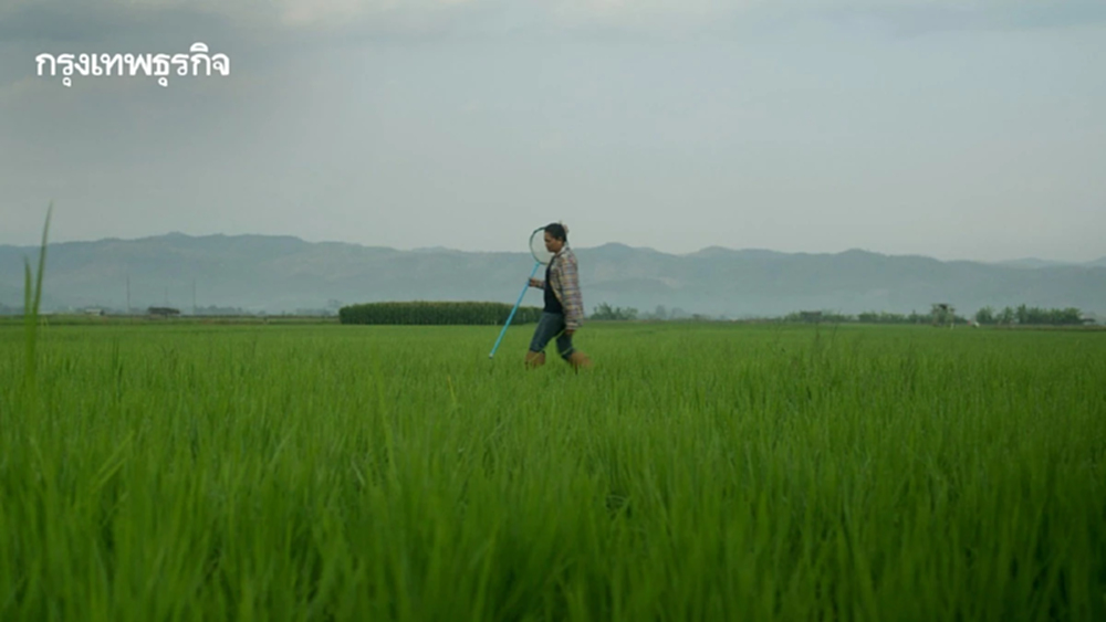 เนชั่นแนล จีโอกราฟฟิก จับมือ เป๊ปซี่โค เปิดตัวโครงการ 'Food for Tomorrow' ขับเคลื่อนเกษตรกรรมเชิงฟื้นฟู