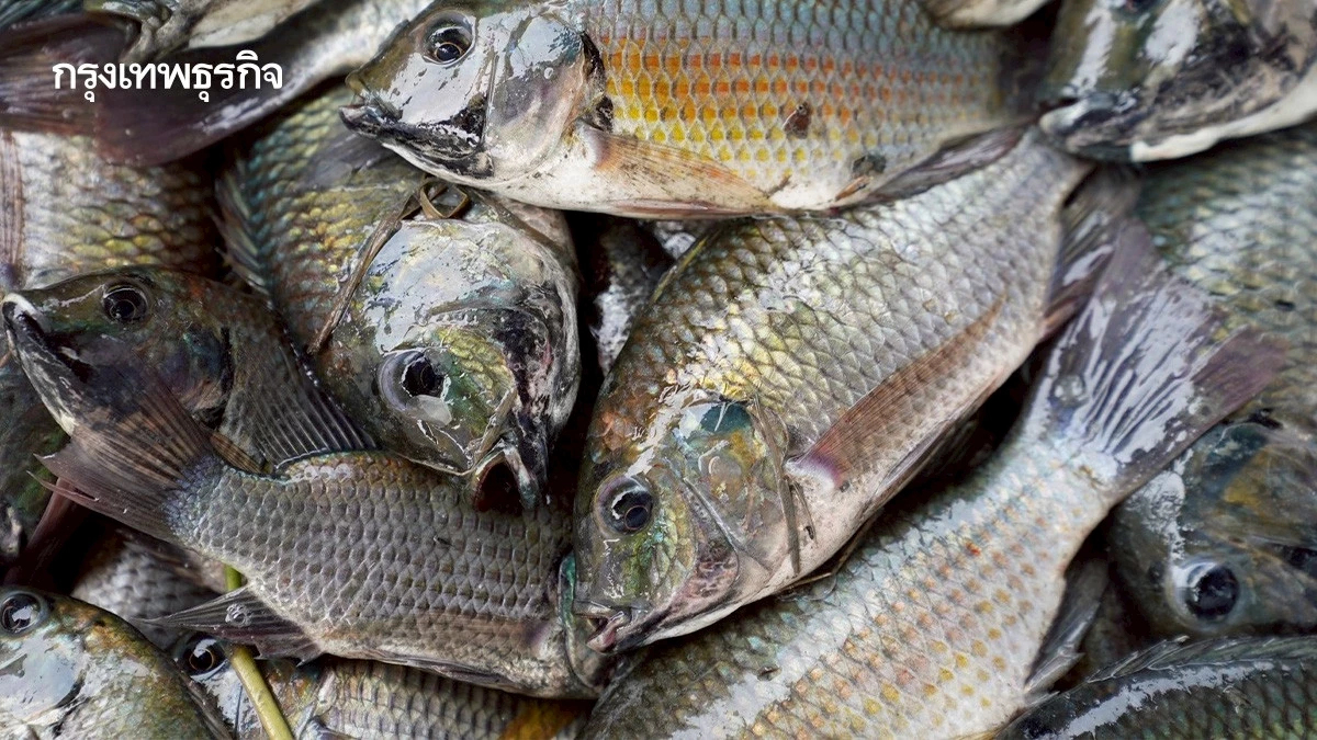 ศาลให้ ซีพีเอฟ เรียกค่าเสียหายจาก BIOTHAI คดีข้อมูลเท็จปลาหมอคางดำ