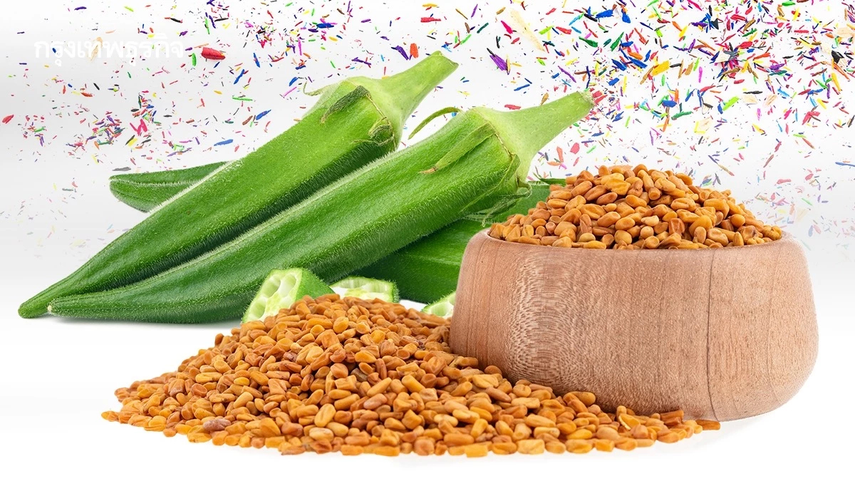 กระเจี๊ยบเขียว-ลูกซัด ดักจับ ‘ไมโครพลาสติก’ ในน้ำได้ 90%