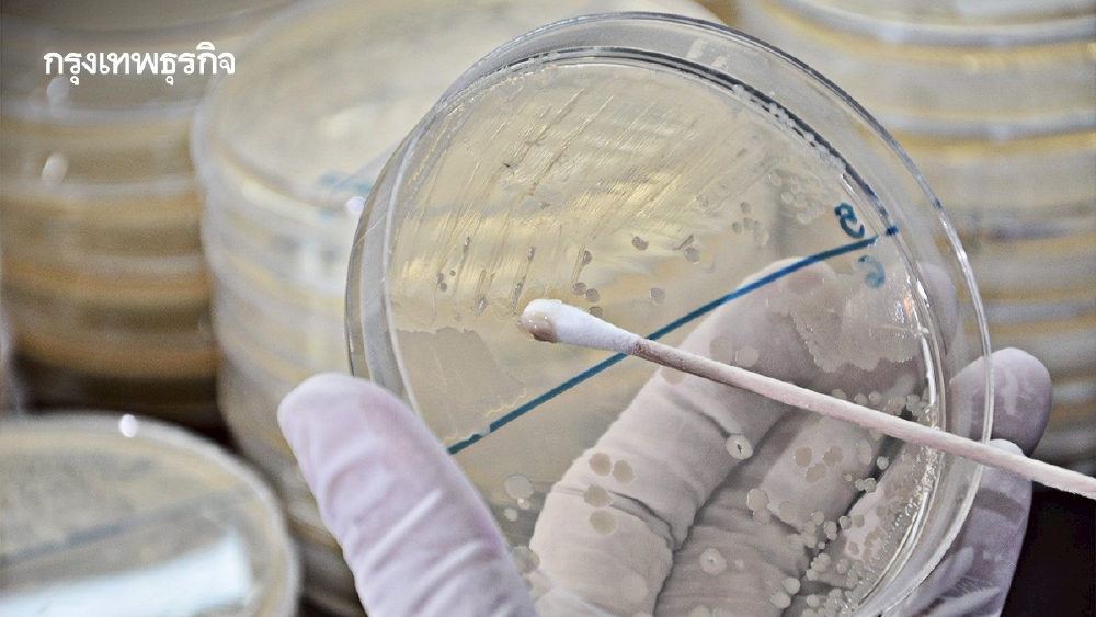 .ปี 68 สุ่มตรวจ 'ยาดม' 54 ตัวอย่างพบผิดมาตรฐาน 39 ตัวอย่าง.