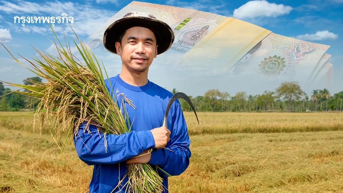 โอนเข้าแล้ว 89% เงินไร่ละ 1000 ช่วยชาวนา ส่งข้อมูลเพิ่มอีก เกษตรกร