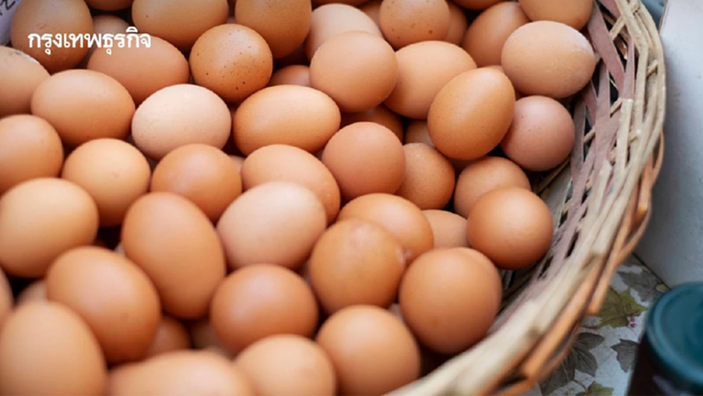 ผู้เลี้ยงไก่ไข่ เข้มมาตรการป้องไข้หวัดนก ย้ำไข่ไทยปลอดภัย ไข้ขาดแคลน