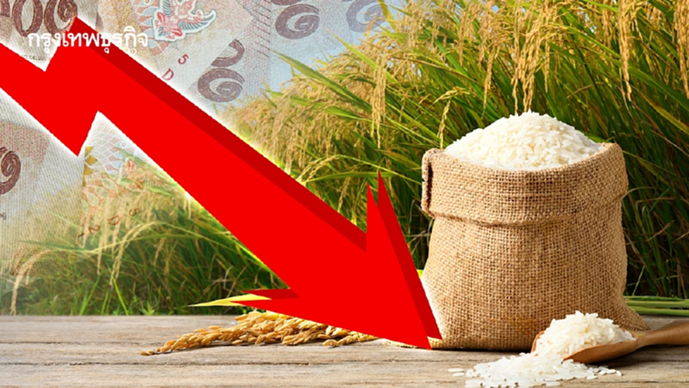 'ราคาสินค้าเกษตรร่วง' สะเทือนรัฐบาล ‘ข้าว’ เฉลี่ยทั้งปีดิ่งแรง 33%