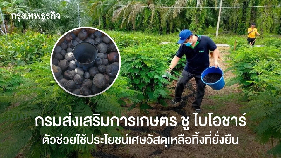 กรมส่งเสริมการเกษตร ชู ไบโอชาร์ ตัวช่วยใช้ประโยชน์เศษวัสดุเหลือทิ้งที่ยั่งยืน