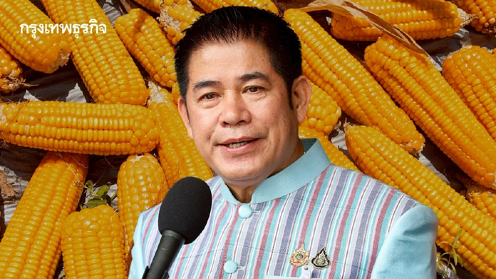 ‘ธรรมนัส’ ค้านเพิ่ม ‘โควตาข้าวโพดเลี้ยงสัตว์’  ห่วงฉุดราคาร่วง – GMO กระทบส่งออก