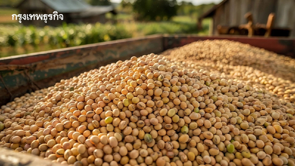 จีนยกเลิกภาษีตอบโต้สินค้าเกษตรสหรัฐ หลัง 'ทรัมป์' ลดภาษีสินค้าเกี่ยวข้องกับเฟนทานิล