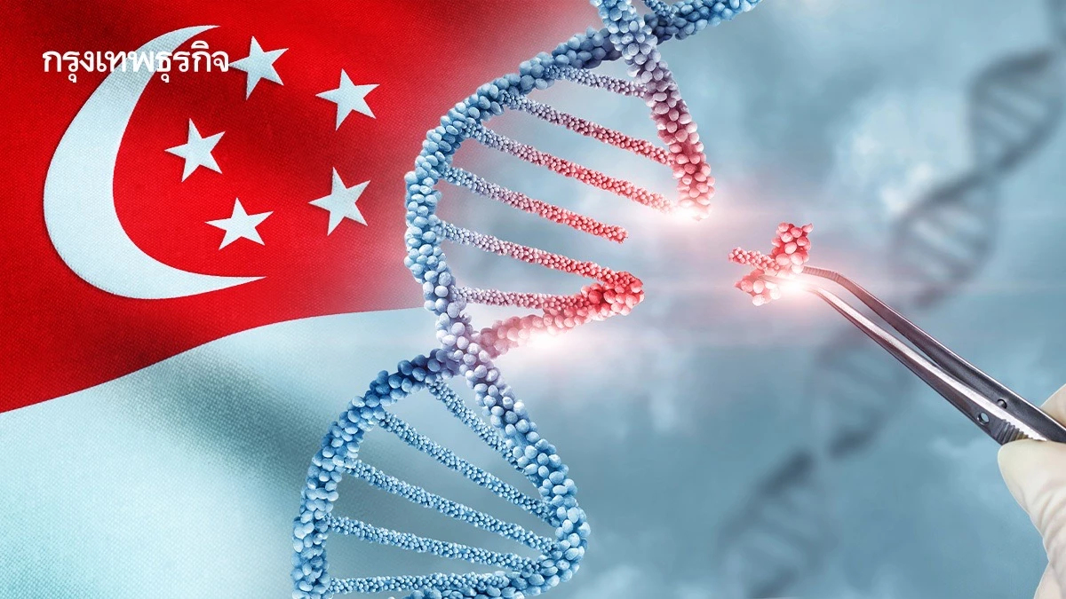 ‘ยีนเธอราพี’ เทรนด์สิงคโปร์ รักษาโรคหัวใจ  ท่ามกลางกังวลจริยธรรม
