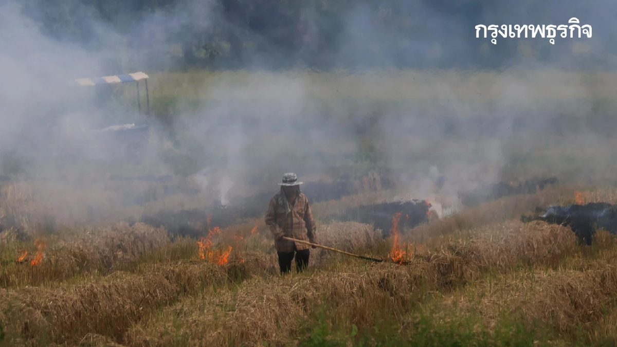 เผาไม่เลิก ฝุ่นพิษ PM2.5 จ่อซ้ำรอย เตรียมตัว ฤดูหนาวนี้หายใจลำบาก