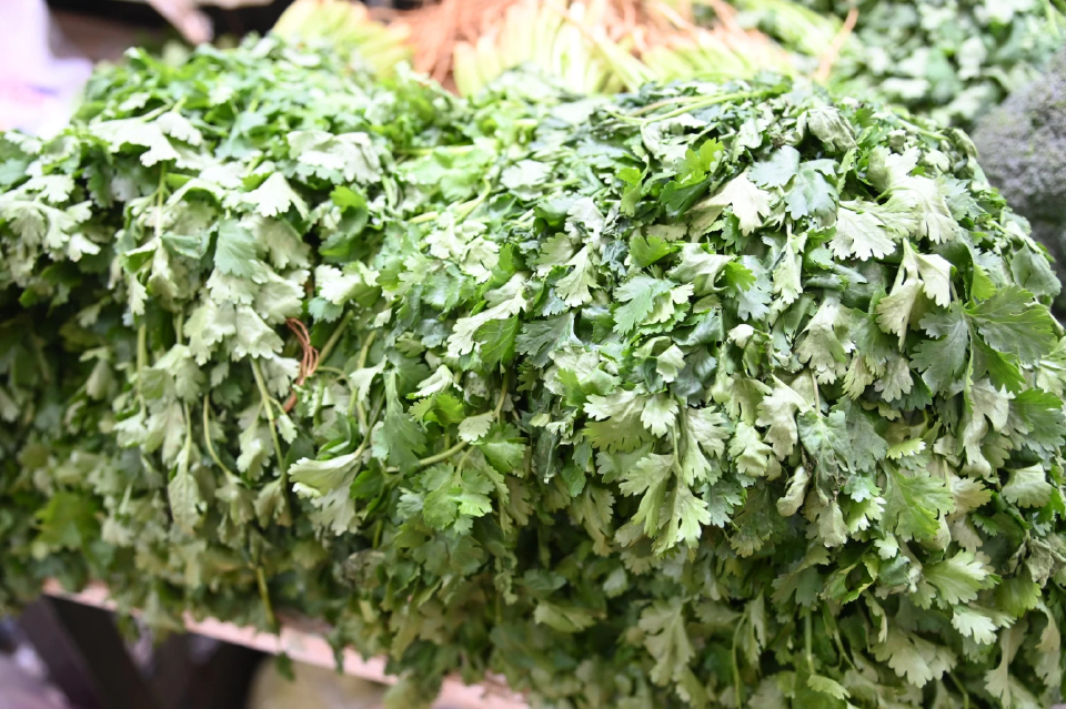 ผักชีราคาพุ่งทะลุ 250 บาทต่อกก.กรมการค้าภายใน ชี้! ผลผลิตเสียหายจากฝน
