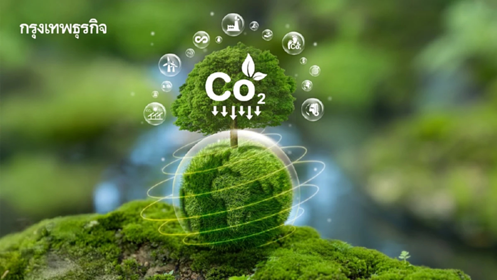 สิทธิ-นวัตกรรม  กุญแจสู่ 'เศรษฐกิจป่าไม้' ยุคใหม่ของความยั่งยืน