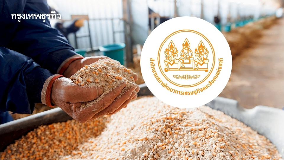 ‘สภาพัฒน์’ แนะเร่งทำกลไกตรวจสอบย้อนกลับ หลังไทยเพิ่มโควตานำเข้า ‘ข้าวโพดเลี้ยงสัตว์’