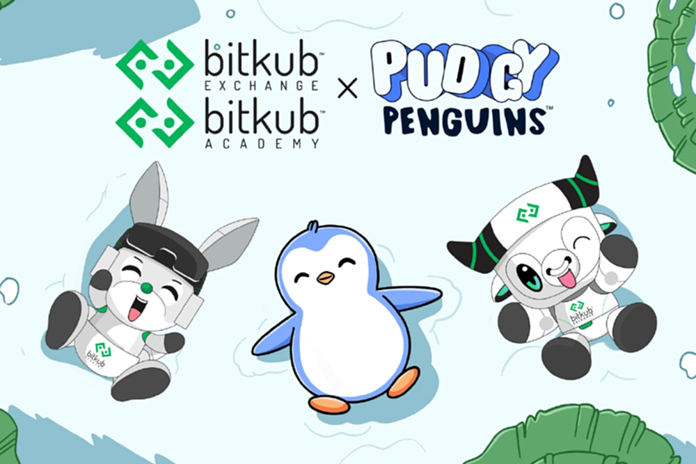 Bitkub ประกาศร่วมมือ Pudgy Penguins โปรเจกต์เพนกวิน สู่การขยาย NFT Community ในไทย