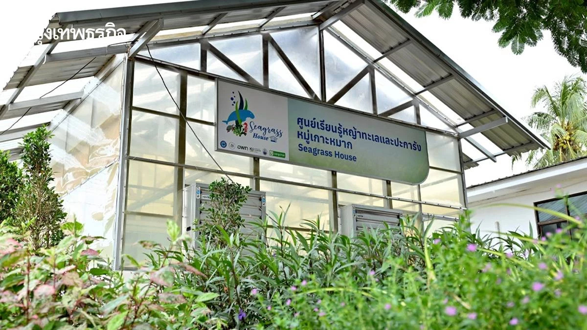ศูนย์เรียนรู้หญ้าทะเล–ปะการัง เกาะหมาก ต้นแบบดูดคาร์บอนทรงพลัง 10 เท่า