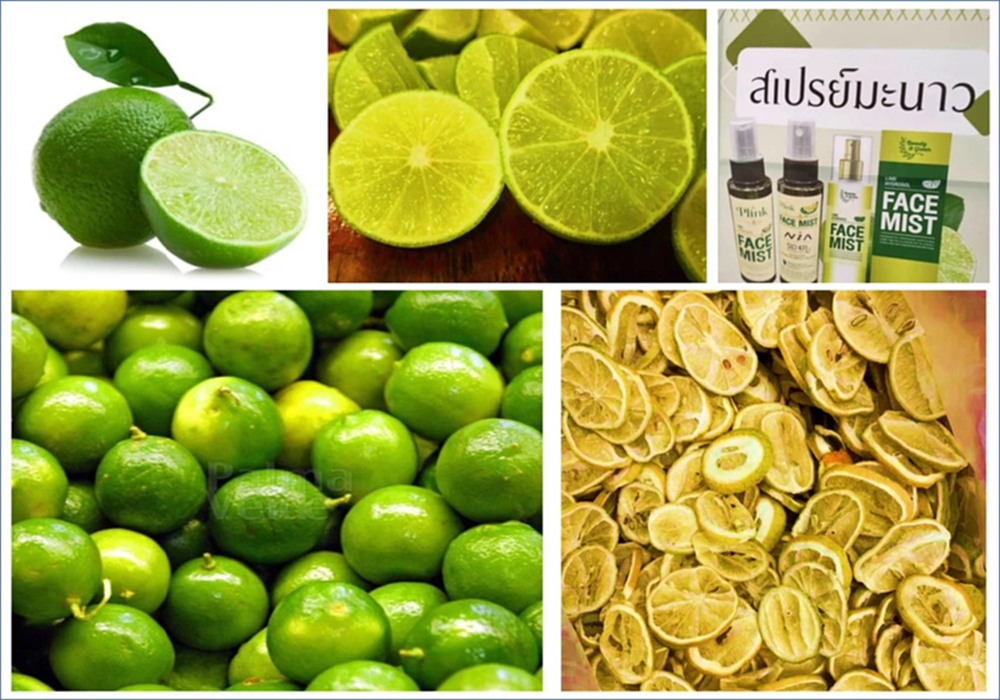 หมดปัญหามะนาวล้นตลาด วว.ผนึกเอกชนพัฒนาเป็นเครื่องสำอางได้แล้ว