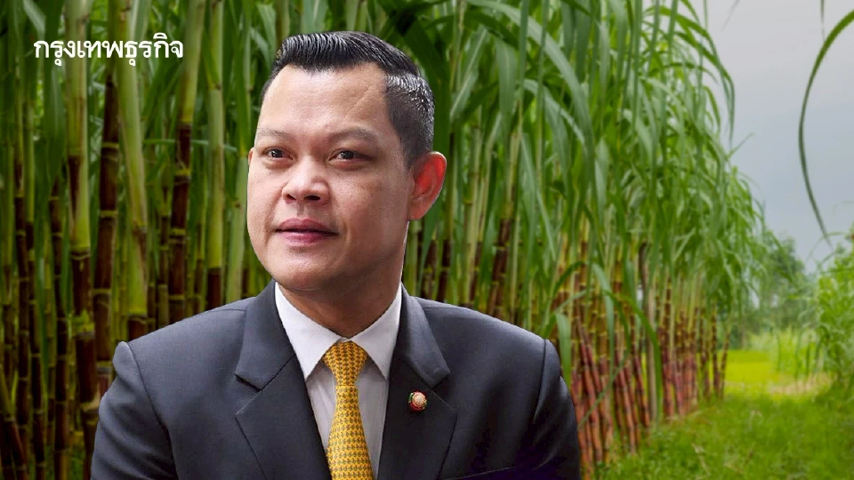 'ธนกร' รับมือราคาตก-ต้นทุนพุ่ง 400 บาทต่อตัน จ่อชงครม.อุ้มชาวไร่อ้อย