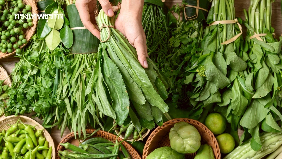 ‘ผักสดยอดนิยม’ ผลสุ่มตรวจเจอปนเปื้อน ‘พยาธิ’ หลายชนิด