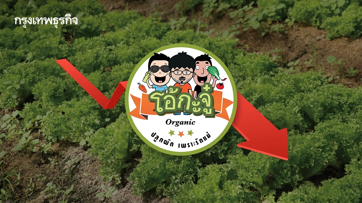 OKJ  กำไร Q3/68  วูบ 71 % ที่ 17 ล้าน  ตัวเลข SSSG -23.0 % เผชิญการแข่งขันสูง