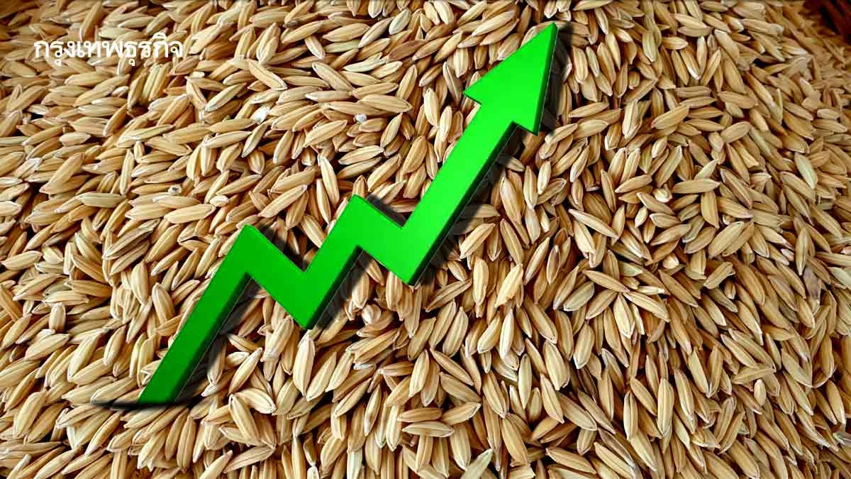ราคาข้าวเปลือกดีดขึ้นรับออร์เดอร์ใหม่ ขณะพ.ย.ผลผลิต17ล้านตันเตรียมทะลัก