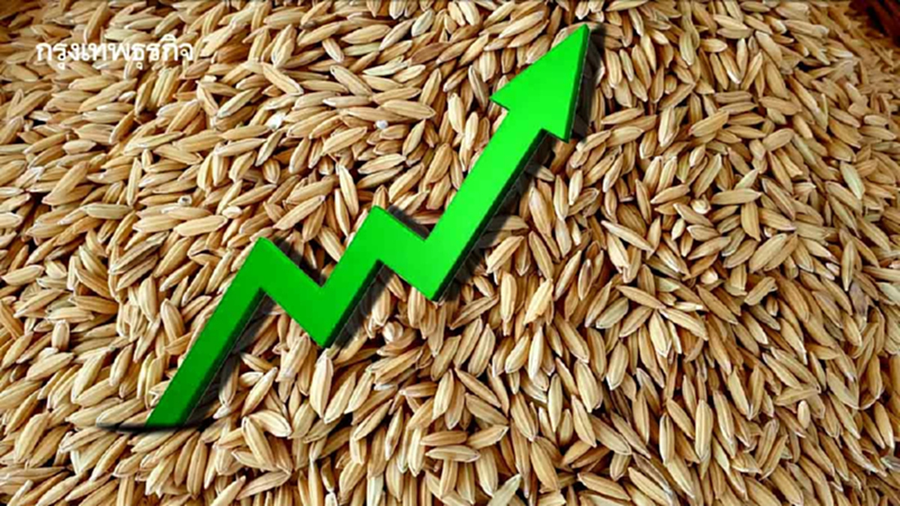 ราคาข้าวเปลือกดีดขึ้นรับออร์เดอร์ใหม่ ขณะพ.ย.ผลผลิต17ล้านตันเตรียมทะลัก