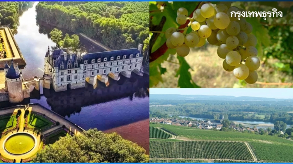 ลัวร์ แวลลีย์ (Loire Valley) มนต์เสน่ห์แห่งไวน์และปราสาท