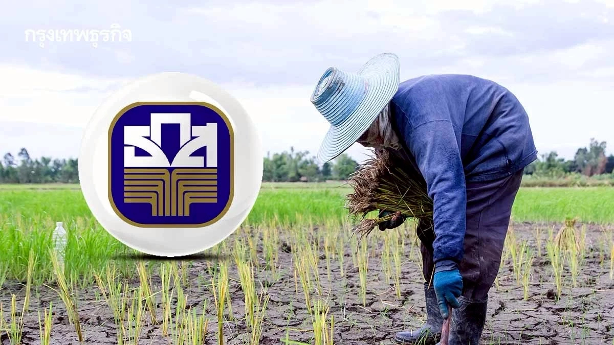 โจทย์แก้หนี้เกษตรกร ‘ธ.ก.ส.’ เตรียมตั้ง AMC ภายใน ยันไม่ยึดหลักทรัพย์ทำกิน