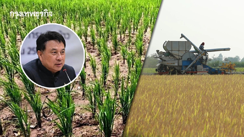 นเรศ สั่ง ลุยตลาดข้าวคาร์บอนต่ำ เพิ่มราคาพรีเมียม อีก10–20%