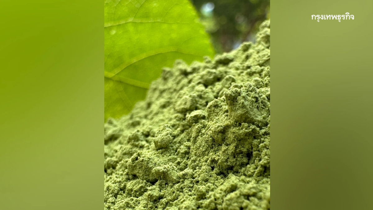 ทฤษฎีแห่งความสุข : สุข ... ผงใบหม่อน โดย ธันย่า - ธันยลักษณ์ พรหมมณี