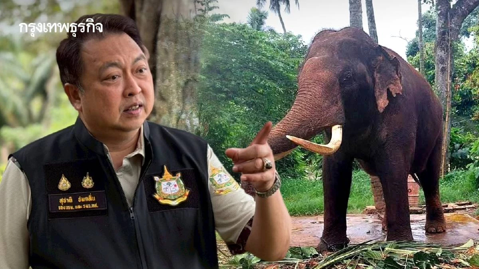 'สุชาติ' เตรียมถกทูตศรีลังกา เดินหน้าพาพลายประตูผา–พลายศรีณรงค์กลับบ้าน