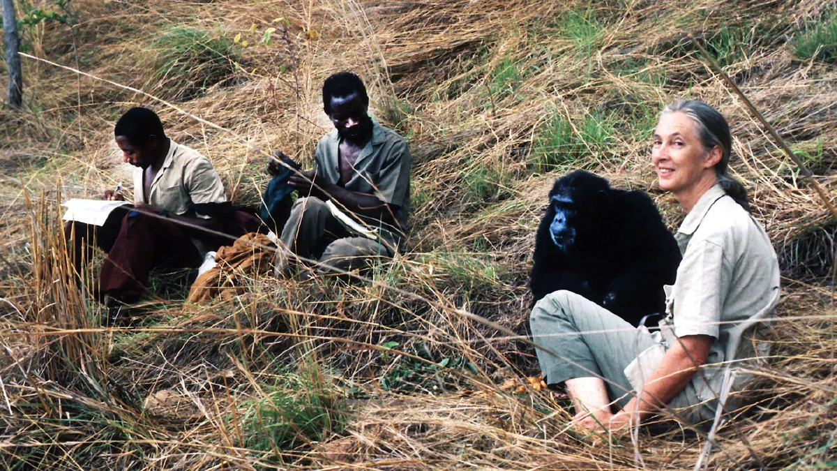 'AWS' ดึงพลัง AI แปลงงานวิจัย 'วานรวิทยา' 6 ทศวรรษสู่ดิจิทัล