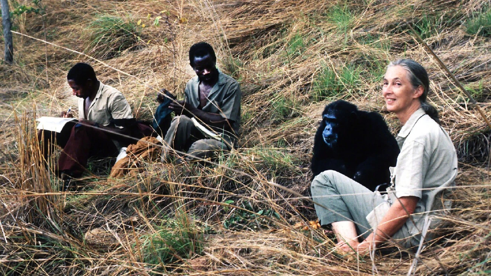 'AWS' ดึงพลัง AI แปลงงานวิจัย 'วานรวิทยา' 6 ทศวรรษสู่ดิจิทัล