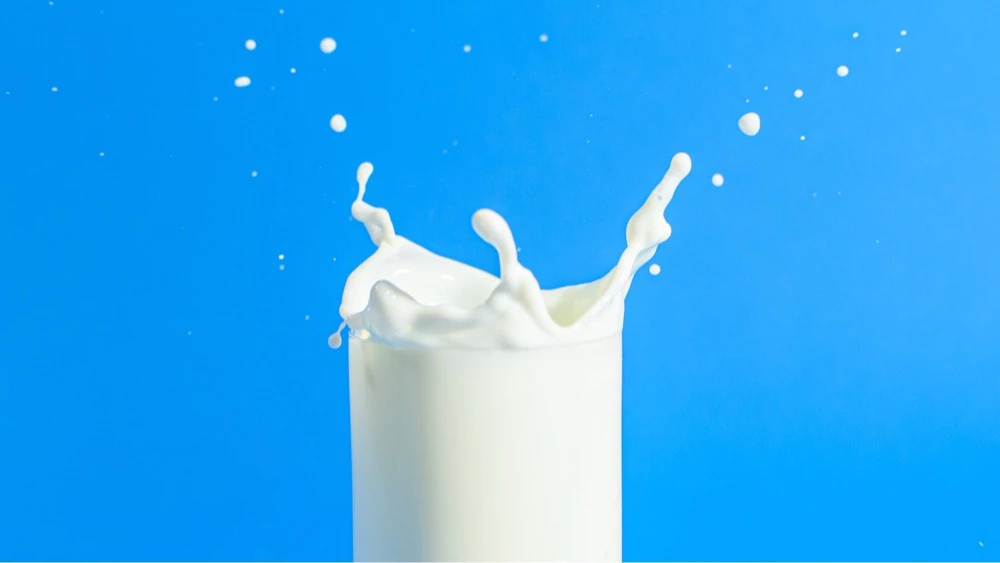 เข้าใจเรื่อง ‘นมวัว’ พาสเจอร์ไรซ์ สเตอริไลซ์ ยูเอชที ต่างกันอย่างไร