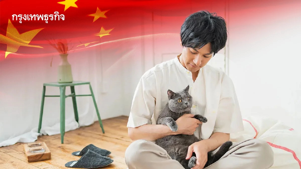 ส่อง “ตลาดแมวจีน” โตแรง จากสัตว์เลี้ยงสู่”เศรษฐกิจแมว”ครบวงจร