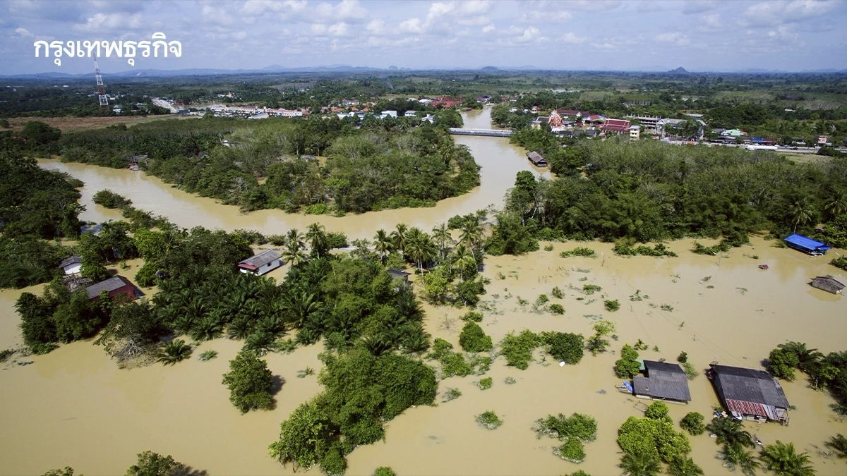 ปภ. เตือนภัยสูงสุด! น้ำท่วมพัทลุง ฝนตกหนัก สั่งปิดโรงเรียน 17 แห่ง