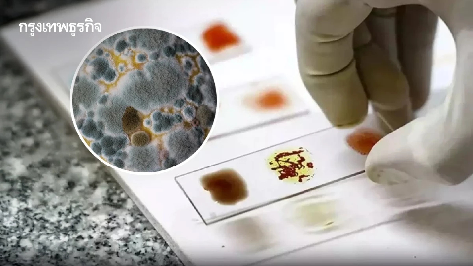 ‘เซลล์ซอมบี้’ เซลล์เสื่อมที่ไม่ยอมตาย ภัยเงียบร่างกายแก่ก่อนวัย