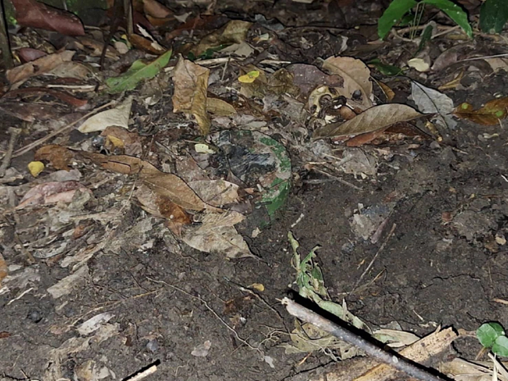 'ทบ.-กองทัพไทย' พบอีกทุ่นระเบิด ช่องอานม้า-บ้านชำราก หวังบึ้มทหารไทย