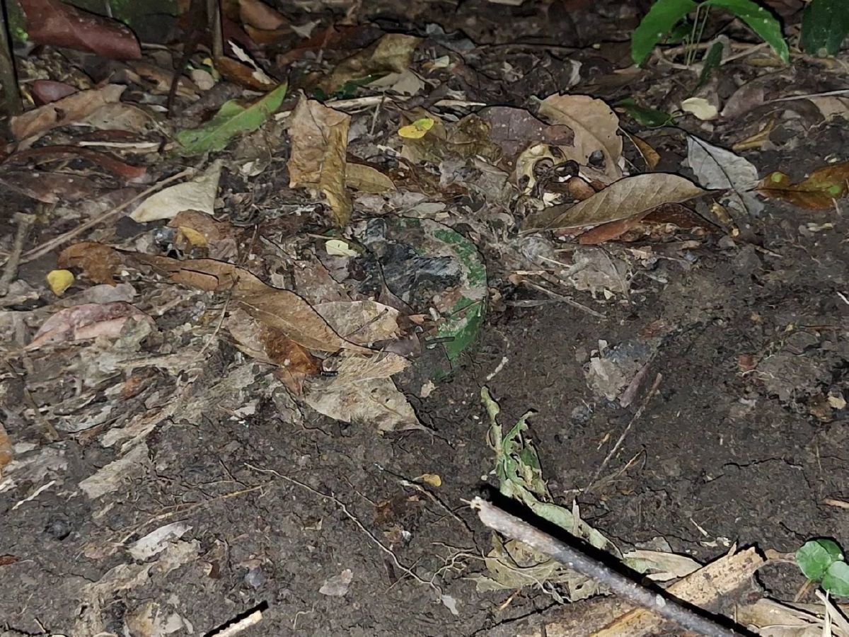 'ทบ.-กองทัพไทย' พบอีกทุ่นระเบิด ช่องอานม้า-บ้านชำราก หวังบึ้มทหารไทย