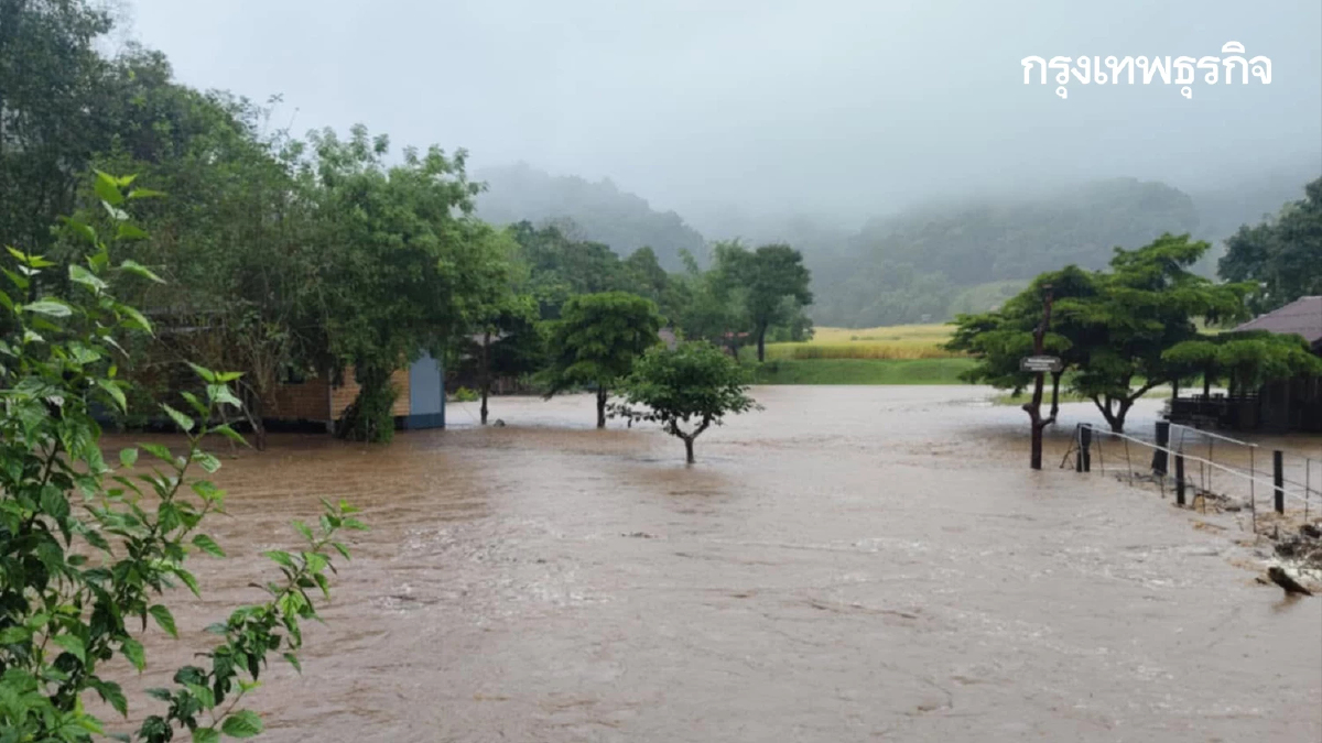ด่วน ฝนตกหนัก ดอยอินทนนท์ น้ำป่าถล่ม แม่กลางหลวง นาขั้นบันไดจมมิด