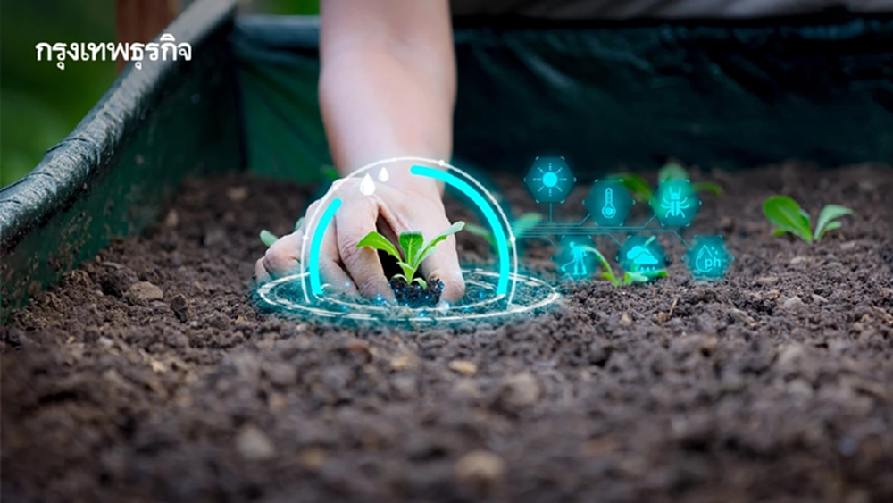 ครม.ไฟเขียวควบรวม 3 หน่วยบริหารทุนนวัตกรรม ตั้งองค์การมหาชน พัฒนา-วิจัย เชิงพื้นที่