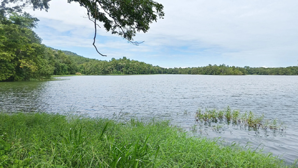 ชป.เชียงใหม่ 'หน่วงน้ำ' ลำน้ำปิง! ชะลอมวลน้ำก่อนถึงเขื่อนภูมิพล