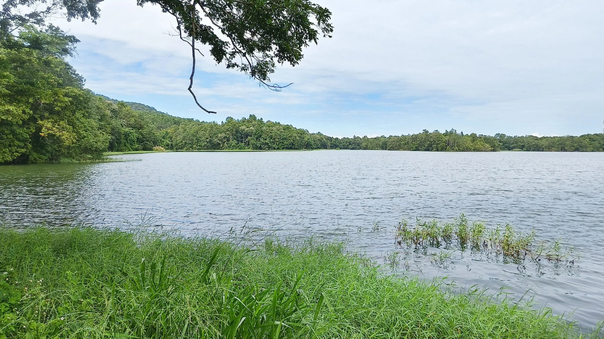 ชป.เชียงใหม่ 'หน่วงน้ำ' ลำน้ำปิง! ชะลอมวลน้ำก่อนถึงเขื่อนภูมิพล